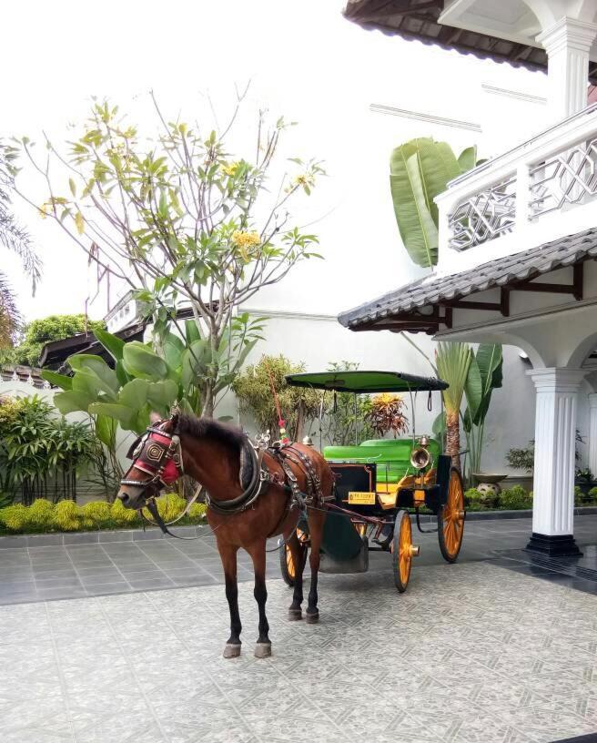 Raintree Boutique Villa & Gallery Джок'якарта Екстер'єр фото